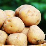 furano/potatoes