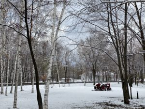 furano/snow-scene