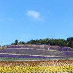 nakafurano/lavender/park
